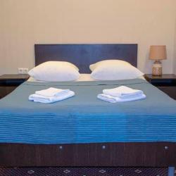 Номер полулюкс с 1 двуспальной кроватью