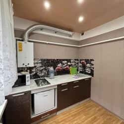 Фото Апартаменты Бабушка Хаус на улице Псковская