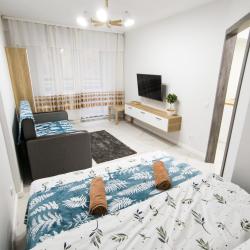 1-комнатные апартаменты улучшенные