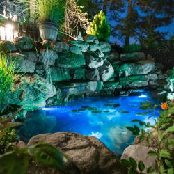 Фото Отель Лотос