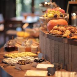 Фото Отель Dilijani Tun Hotel ( Тун)