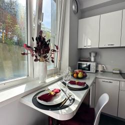 2-местные 1-комнатные апартаменты студия 18