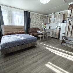 1-комнатные апартаменты студия Красной Армии 136/13