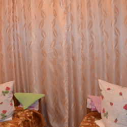 Фото Отель Нива