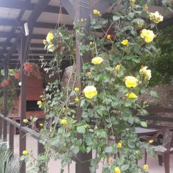 Фото Отель Карамель