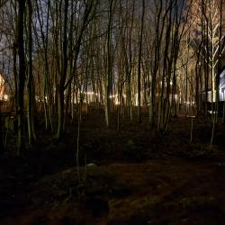 Фото Отель Звен Дзен