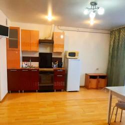 1-комнатные апартаменты студия город Чебаркуль, ул.Заря, д.29а (мансарда)