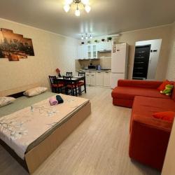 1-комнатные апартаменты студия ул. Курыжова, 16
