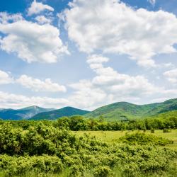 Фото Отель Приют странника