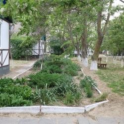 Фото Отель Оазис