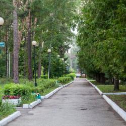 Фото Отель Санаторий Васильевский