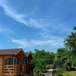 Фото Отель Коттеджный комплекс Неанила