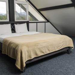 Фото Отель Альпинс residence