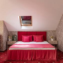 Номер люкс с 1 двуспальной кроватью