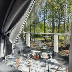 Фото Отель Свобода леса