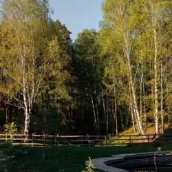 Фото Отель Куль Сканди