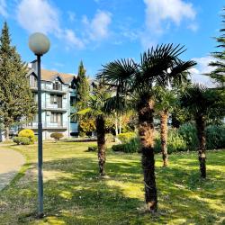 Фото Отель Сеть апартаментов Goodwill