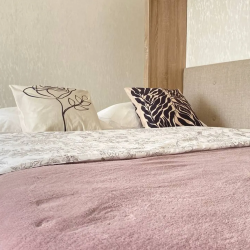 Фото Отель Апатраменты Rose Apartment (Роуз Апартмент) на улице Подполковника Емельянова