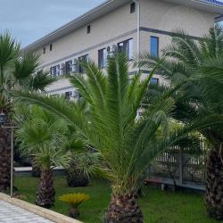 Фото Парк-отель Галина