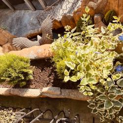 Фото Отель Эрика