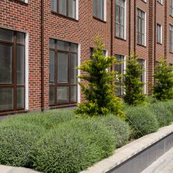 Фото Апартаменты Белое Золото на шоссе Мысхакское