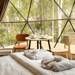 Коттедж стандарт Геокупол