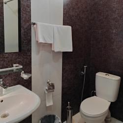 Фото Отель Areg Hotel (Арег)