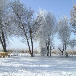 Фото Отель Остров Колочный