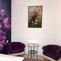 Номер делюкс с видом на город