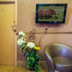 Фото Отель Авеню (бывш. Эконом)