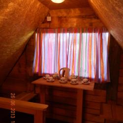 Фото Отель Алтайна