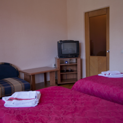 2-местный 1-комнатный номер стандарт