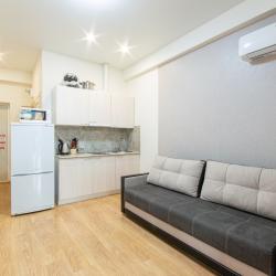 Апартаменты студия с диваном №1