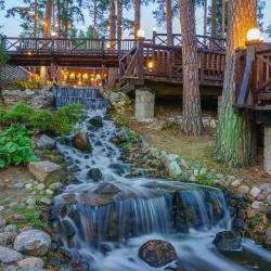 Фото Отель Оленьи пруды