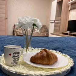1-комнатные апартаменты улучшенные Калининград, ул. Гагарина, 11