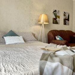 2-комнатные апартаменты эконом 2-кв. ул. Красноармейская 14 №97