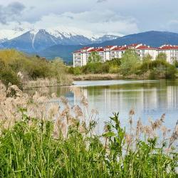 Фото Апартаменты на улице Акаций
