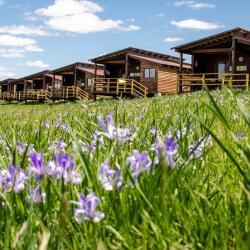 Фото Отель Большой Плёс