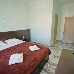 Фото Отель Grad (Град)