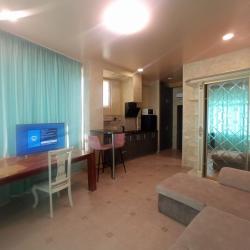 1-комнатные апартаменты студия 2.4