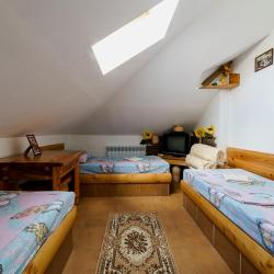 Фото Отель Родина