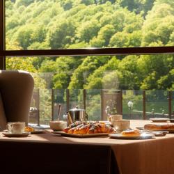 Фото Отель Forrest Terrace Hotel (Форрест Терасса)