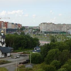 Фото Апартаменты на Шекснинском проспекте