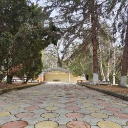 Фото Отель Смена