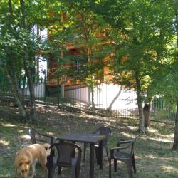 Фото Отель Дома в лесу