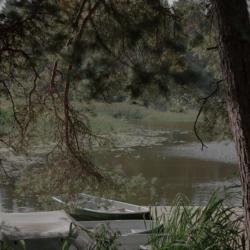 Фото Отель Вили Улей Волга