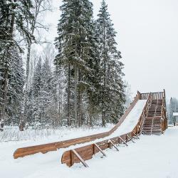 Фото Отель Cosmos Collection Izumrudny Les Hotel (Космос Изумрудный Лес)