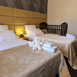 Номер полулюкс с 1 односпальной и 1 двуспальной кроватью