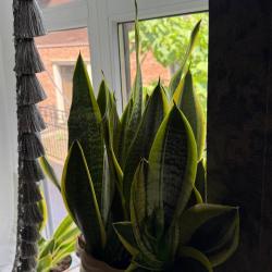 Фото Отель Галар Холл (Galar Hall)