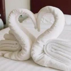 Фото Отель Вилла на песке